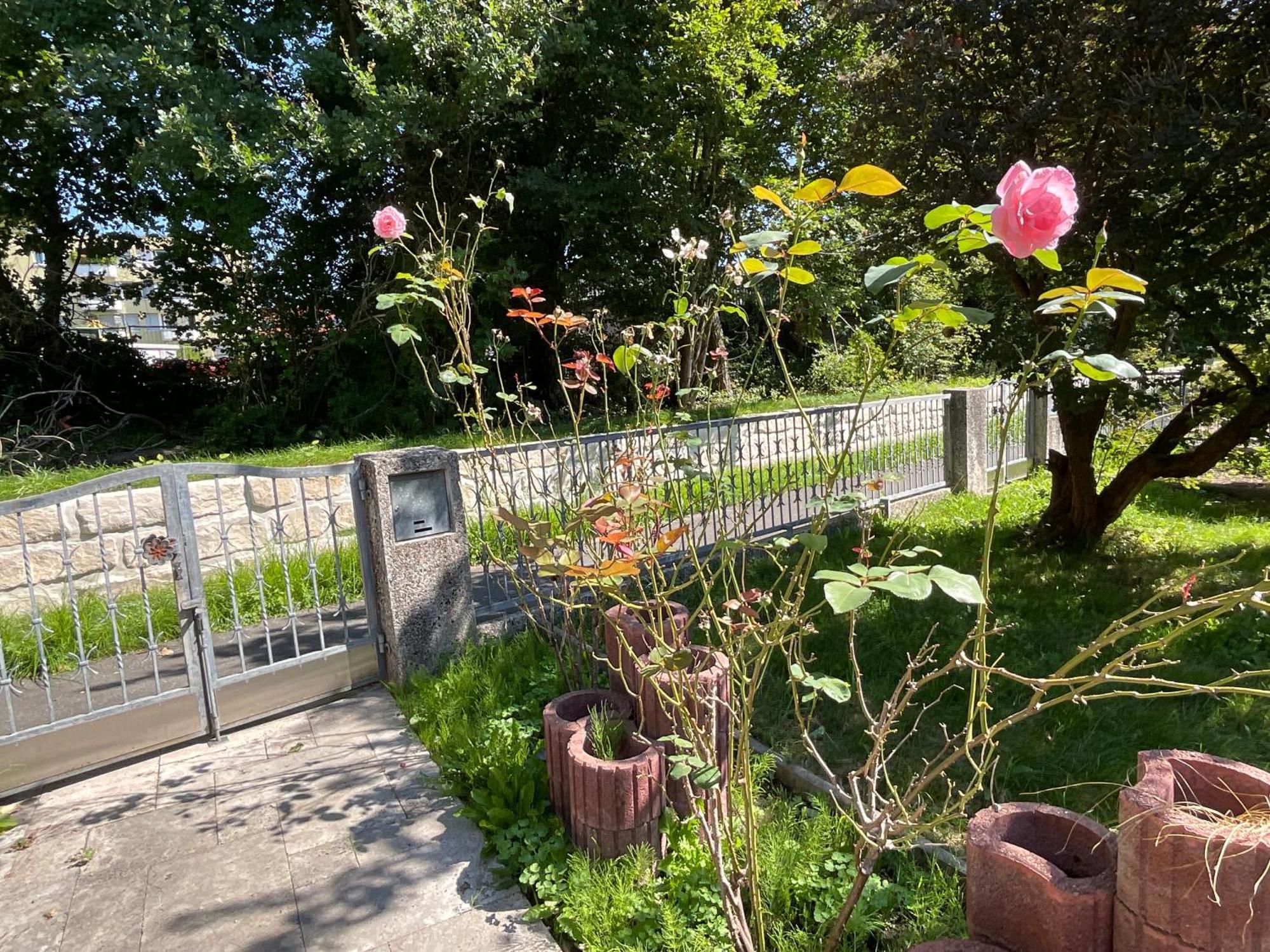 Messe-Apartment, 4 Schlafzimmer, 80 Qm, Garten - 6 Km Zur Messe, Verkehrsguenstig, Ruhig, Parkplaetze 纽伦堡 外观 照片